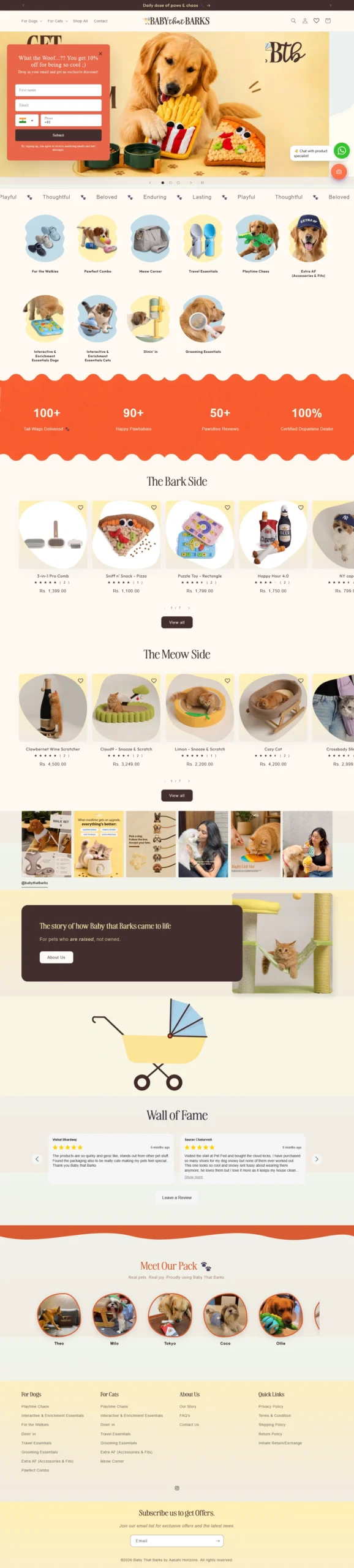 Shopify Website Layout Design